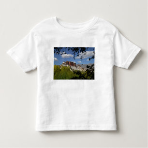 Camiseta De Bebé China, Tíbet, Lhasa, Palacio Potala