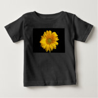 Cicna girasol