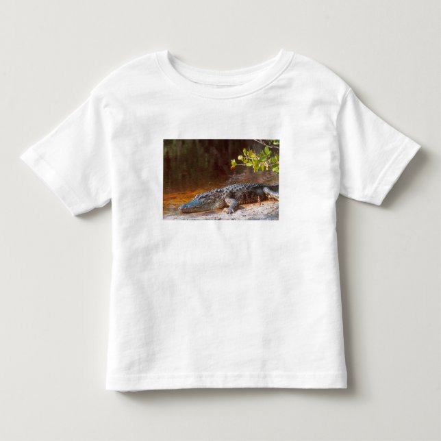 Camiseta De Bebé Cierre de un lagarto estadounidense en la J.N. (Anverso)