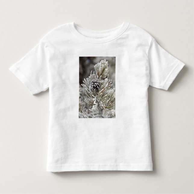 Camiseta De Bebé Cierre del cono de pino congelado, Yellowstone (Anverso)