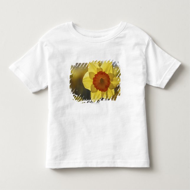 Camiseta De Bebé Ciérrese para arriba de un narciso (Anverso)
