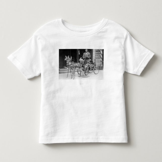 Camiseta De Bebé Ciervos entrenados aprovechados a un trineo impar (Anverso)