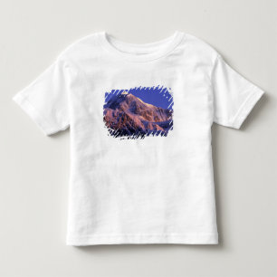Camiseta De Bebé Cima del pico Denali (Mt. McKinley) en