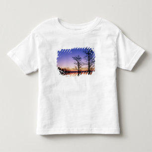 Camiseta De Bebé Cipreses calvos silueteados al atardecer,