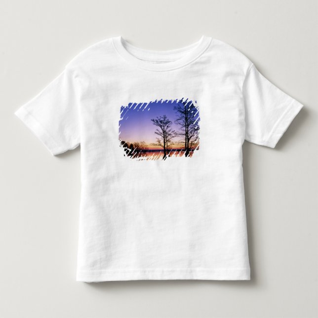 Camiseta De Bebé Cipreses calvos silueteados al atardecer, (Anverso)