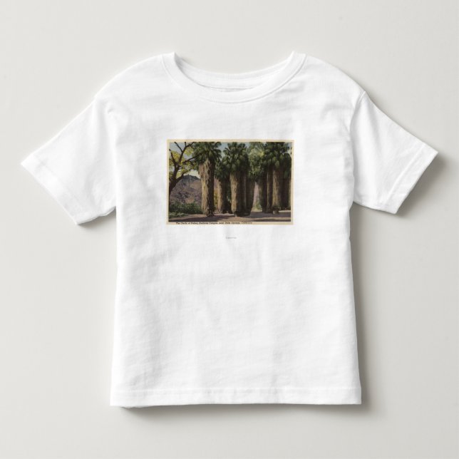 Camiseta De Bebé Círculo de palmas, barranco de Andreas (Anverso)