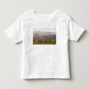Camiseta De Bebé Círculo de piedras de Castlerigg, Distrito de los