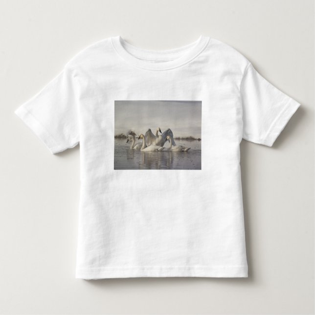 Camiseta De Bebé Cisnes de Trumpeter en el río Madison en invierno (Anverso)