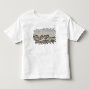 Camiseta De Bebé Cisnes trompeteros en el río Madison en invierno