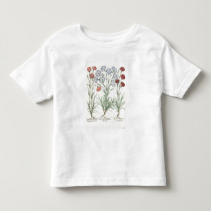 Camiseta De Bebé Claveles: albo múltiplex del flore 1.Caryophyllus