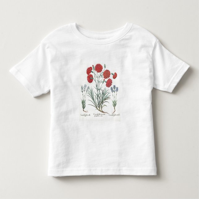 Camiseta De Bebé Claveles y lavanda: 1.Caryophyllus maximus pl (Anverso)