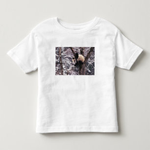 Camiseta De Bebé Club Panda jugando en un árbol cubierto de nieve,