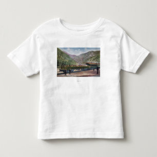 Camiseta De Bebé Coche de ferrocarril de la observación