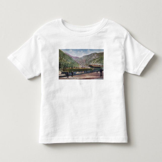 Camiseta De Bebé Coche de ferrocarril de la observación (Anverso)