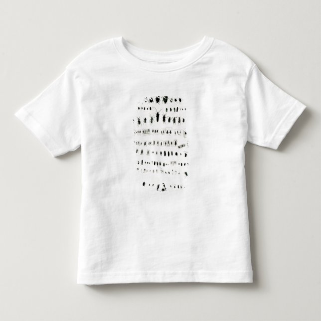Camiseta De Bebé Colección del insecto de Darwin (Anverso)
