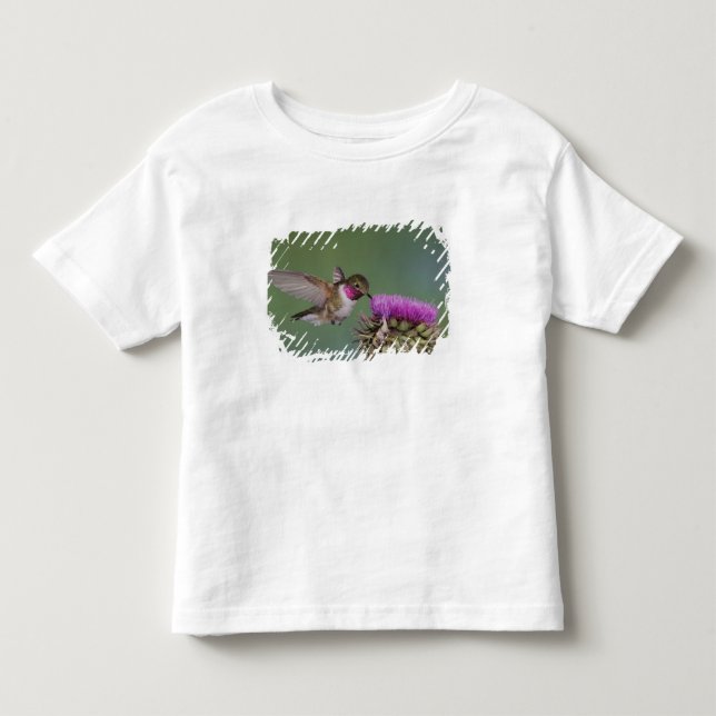 Camiseta De Bebé Colibrí de cola ancha, Selasphorus (Anverso)