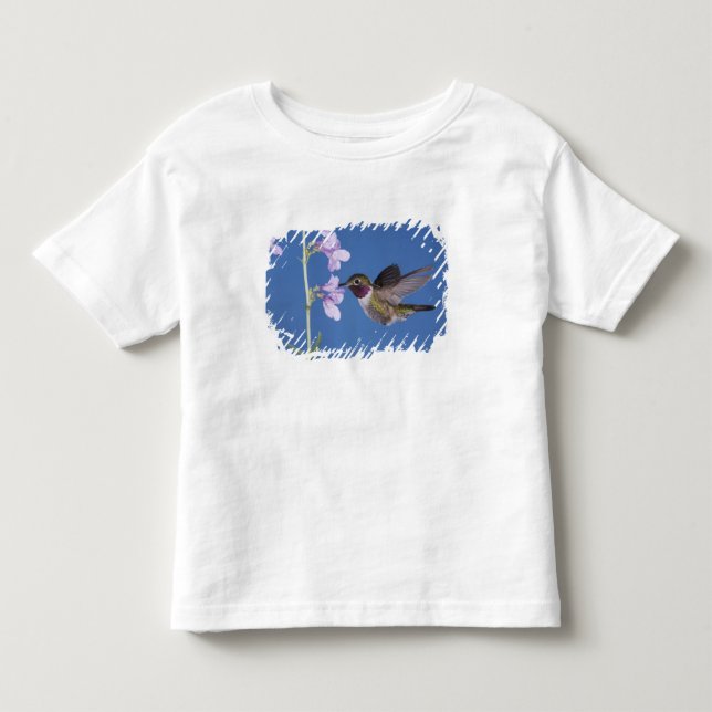 Camiseta De Bebé Colibrí de cola ancha, Selasphorus (Anverso)