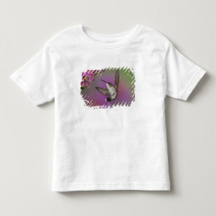 Camiseta De Bebé Colibrí de Ruby Throed masculino juvenil