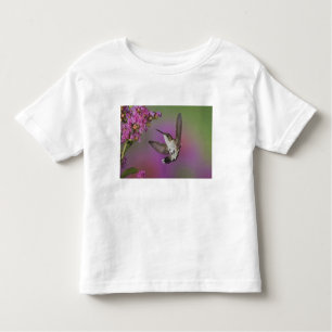Camiseta De Bebé Colibrí de Ruby Throed masculino juvenil
