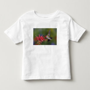 Camiseta De Bebé Colibrí garganta de rubí macho