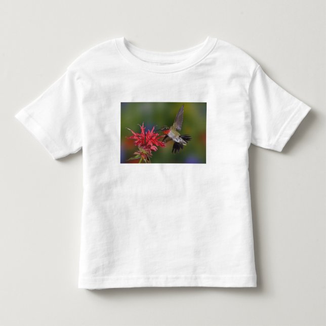 Camiseta De Bebé Colibrí garganta de rubí macho (Anverso)