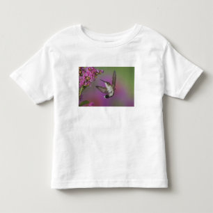 Camiseta De Bebé Colibrí garganta rubí macho juvenil