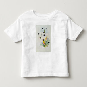 Camiseta De Bebé Colibrí, grabado por Gualterio y Cohn