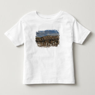 Camiseta De Bebé colonia de Pingüino de Gentoo (Pygoscelis papua) e