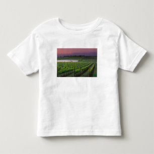 Camiseta De Bebé Color del amanecer en la niebla distante detrás
