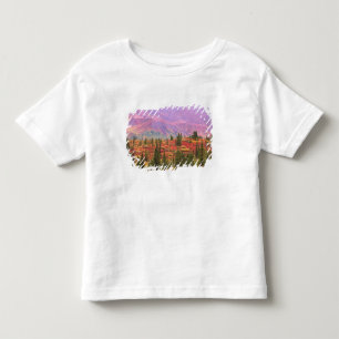 Camiseta De Bebé Color otoñal en el Parque Nacional Denali