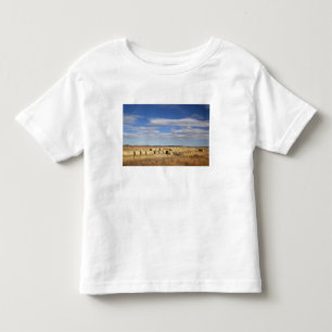 Camiseta De Bebé Condado de Crook, pacas de heno