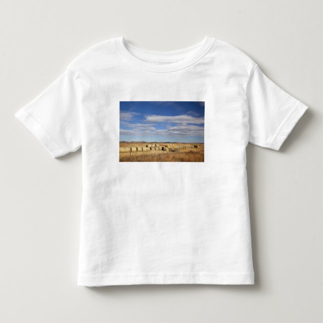 Camiseta De Bebé Condado de Crook, pacas de heno (Anverso)