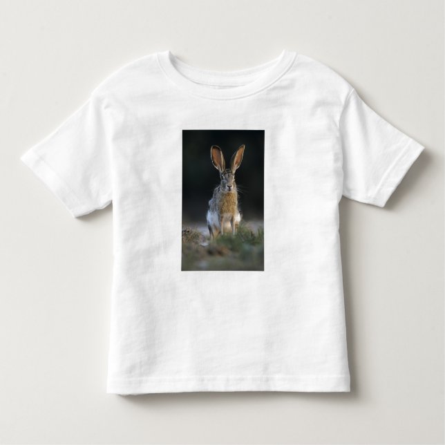 Camiseta De Bebé Conejo de cola negra, Lepus californicus, 2 (Anverso)