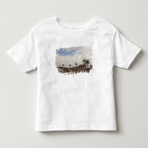 Camiseta De Bebé Consuegra, antiguos molinos de viento de La Mancha
