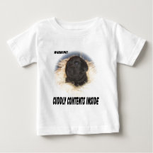Contenido mimoso del perrito negro del laboratorio