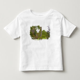 Camiseta De Bebé Cork, Irlanda. El infame Castillo Blarney 2