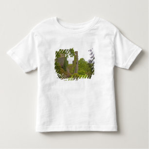 Camiseta De Bebé Cork, Irlanda. El infame Castillo de Blarney 2