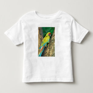 Camiseta De Bebé Costa Rica, Ara Ambigua, Lára grande.