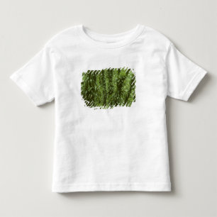 Camiseta De Bebé Costa Rica, Parque Nacional Arenal, selva tropical