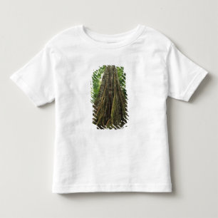 Camiseta De Bebé Costa Rica, Parque Nacional Corcovado, Apuntalado