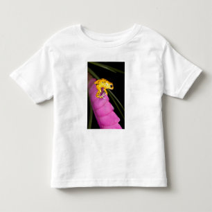 Camiseta De Bebé Costa Rica. Primer plano de rana venenosa