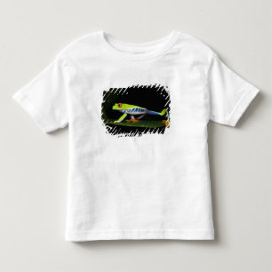 Camiseta De Bebé Costa Rica, Rana De Ojos Rojos (Agalychnis