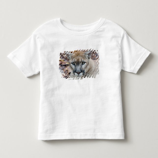 Camiseta De Bebé Cougar, león de montaña, pantera de Florida, Puma (Anverso)
