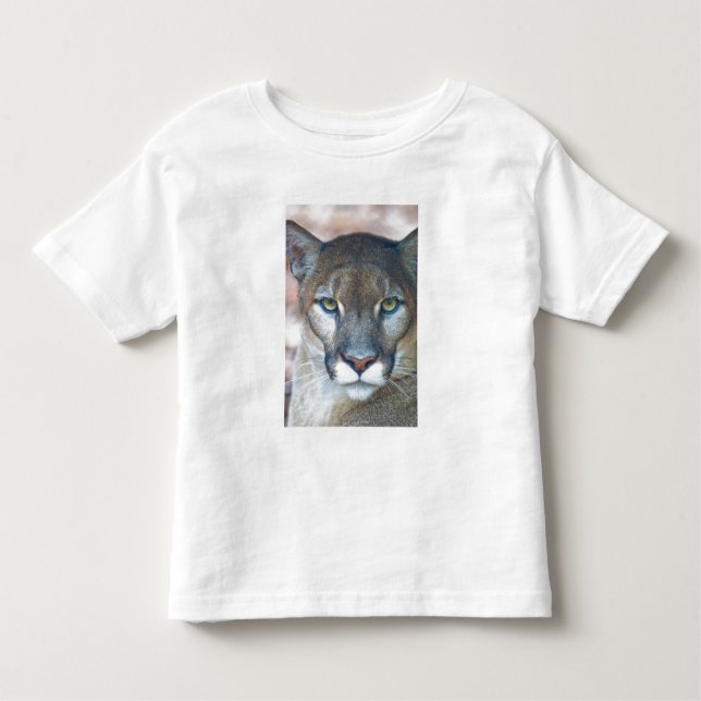Camiseta De Bebé Cougar, león de montaña, pantera de Florida, Puma (Anverso)