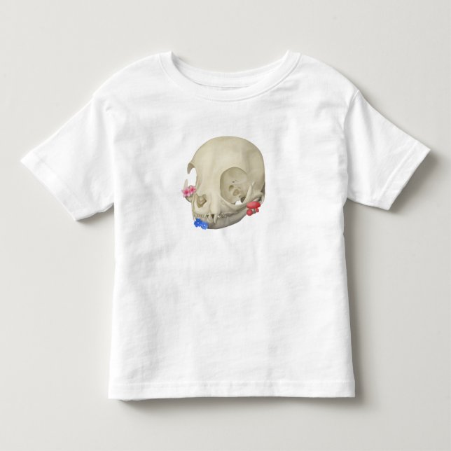 Camiseta De Bebé Cráneo De Gato Con Flora (Anverso)