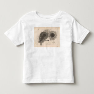 Camiseta De Bebé Cráter de Kilauea, Hawaii