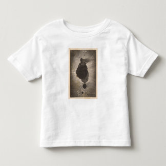Camiseta De Bebé Cráter de Mokuaweoweo, Mouna Loa, Hawaii