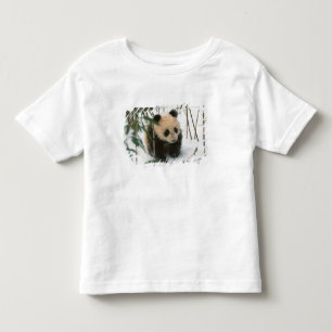 Camiseta De Bebé Cría de panda en la nieve, Wolong, Sichuan, China