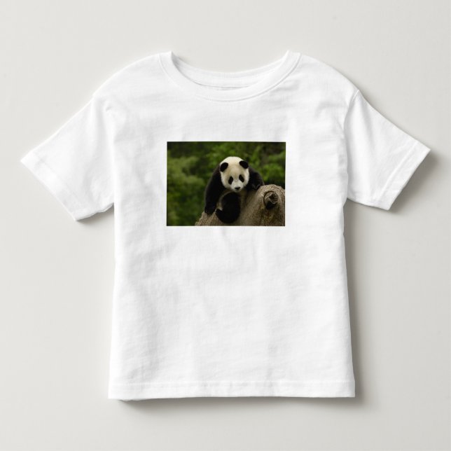 Camiseta De Bebé cría de panda gigante (Anverso)