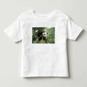Camiseta De Bebé Cría de panda gigante trepa a un árbol, Valle de W